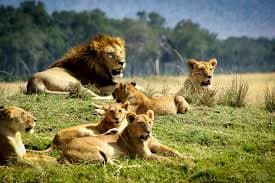 Tsavo National Park